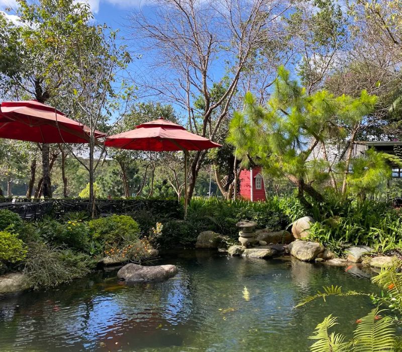 Xuan Huong Garden Coffee Da Lat: Virtual living coordinates with amazing lakeside view 7