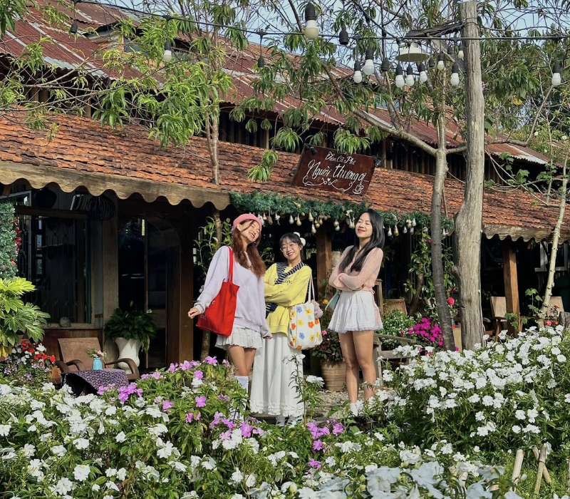 What's special about Nguoi Thuong Oi cafe in the heart of Da Lat? 6