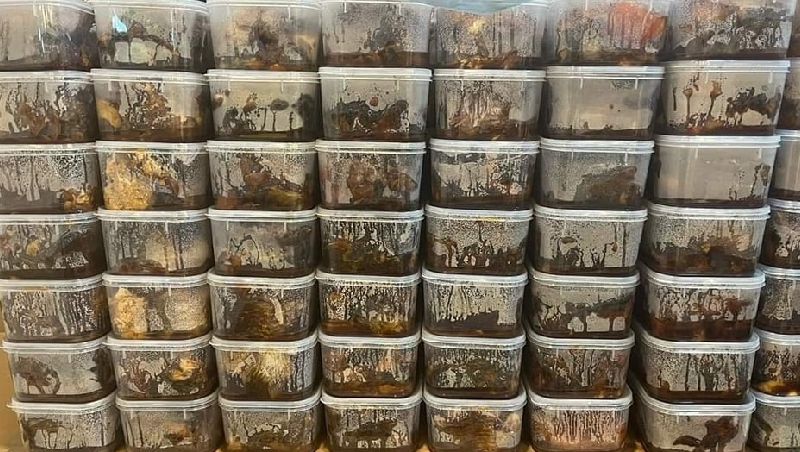 Trinh braised fish at Hang Be market: Traditional dish of ancient Hanoi 9